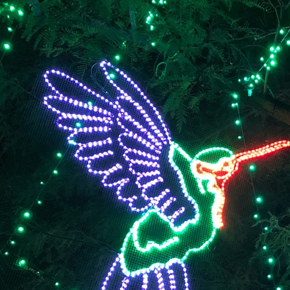 Meet your Posher, Alex - Picture 1 of 1